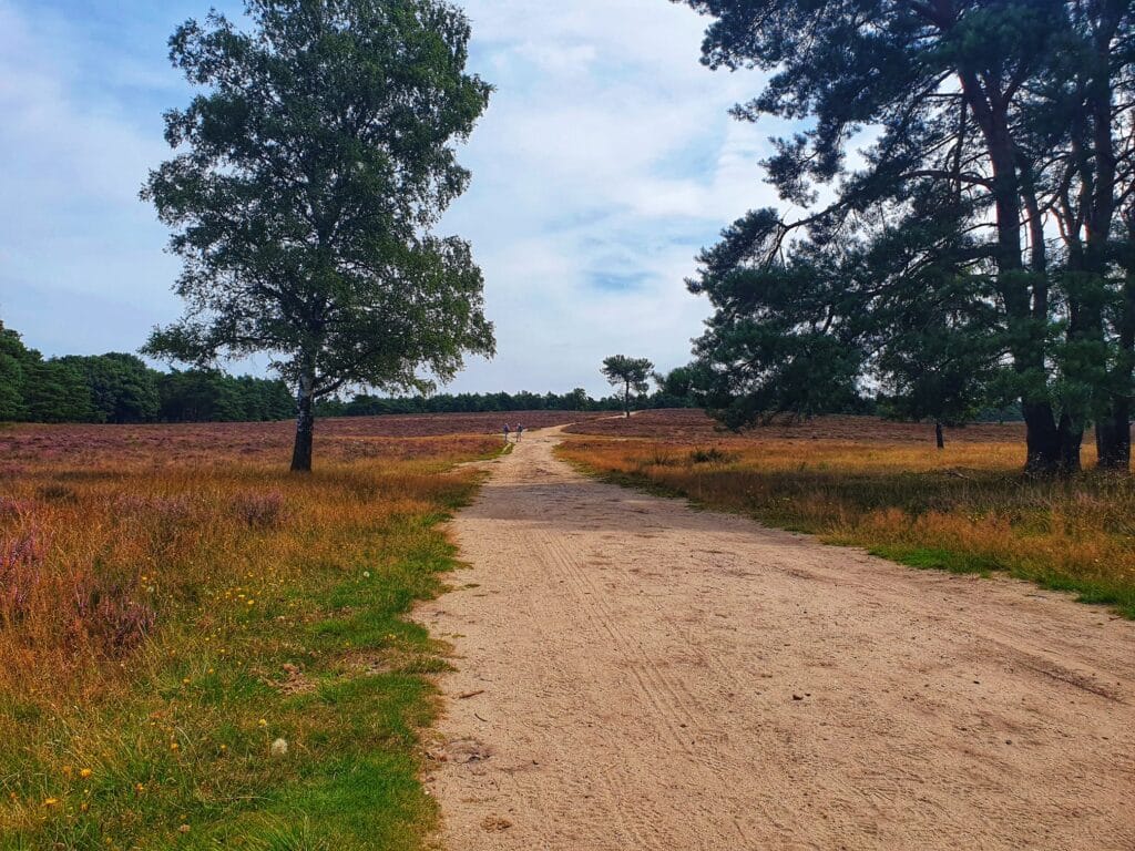 Deze afbeelding heeft een leeg alt-attribuut; de bestandsnaam is Afbeelding-van-WhatsApp-op-2024-08-03-om-18.21.09_da4a569b-1024x768.jpg